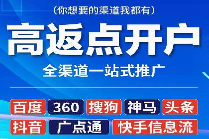 SEM公司案例研究：数据驱动营销策略